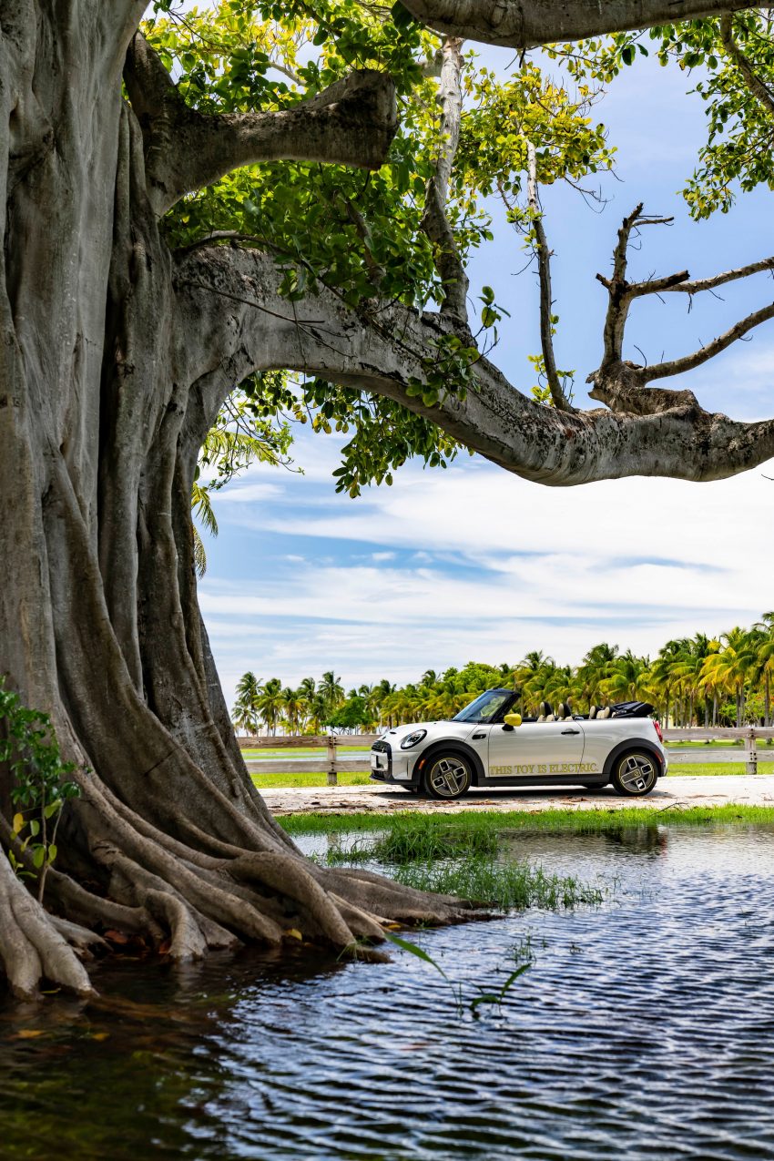 2022 Mini Cooper SE Convertible Concept - Side Phone Wallpaper 850x1275 #232