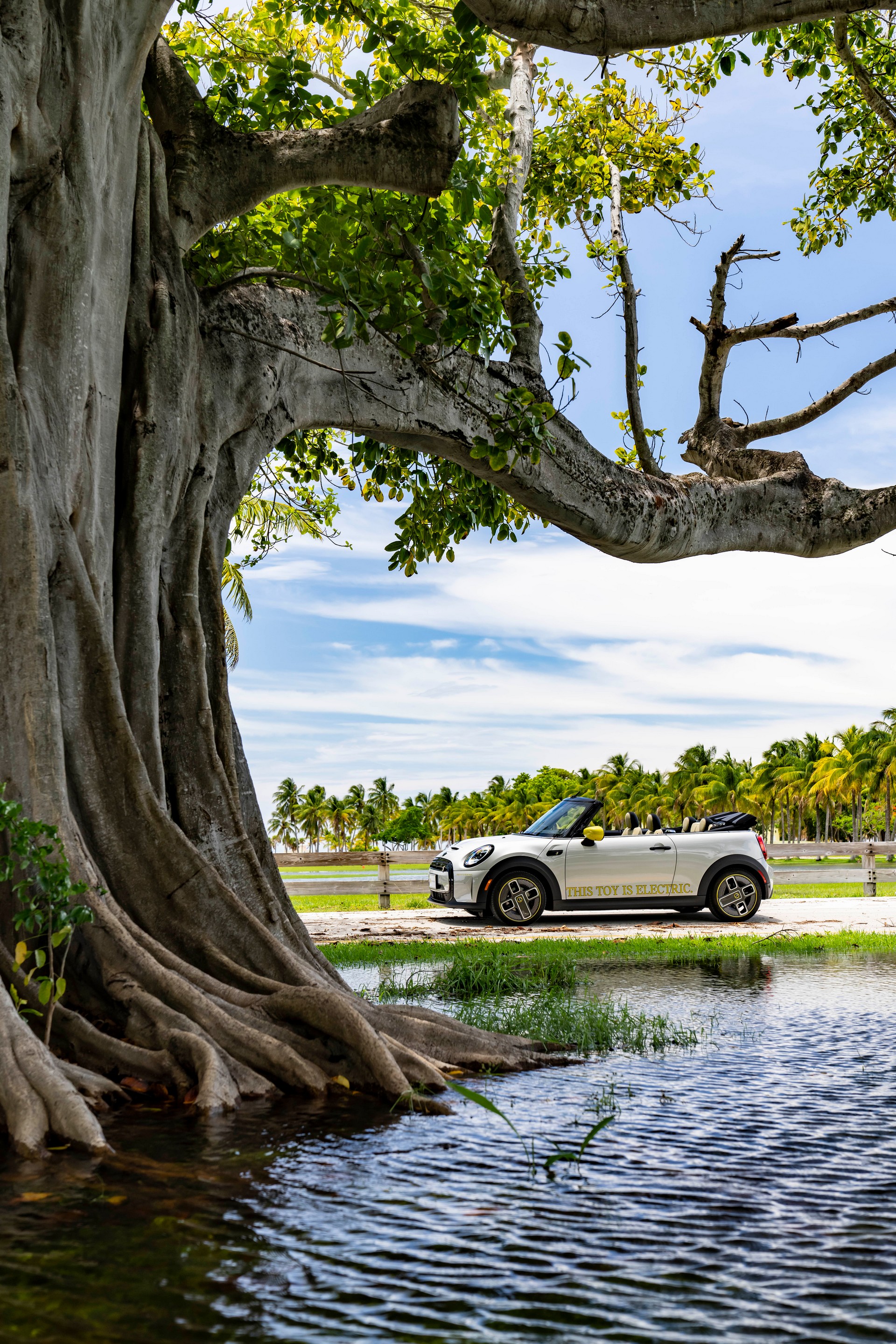 Download 2022 Mini Cooper SE Convertible Concept - Side HD Phone Wallpaper 1920x2880 #232