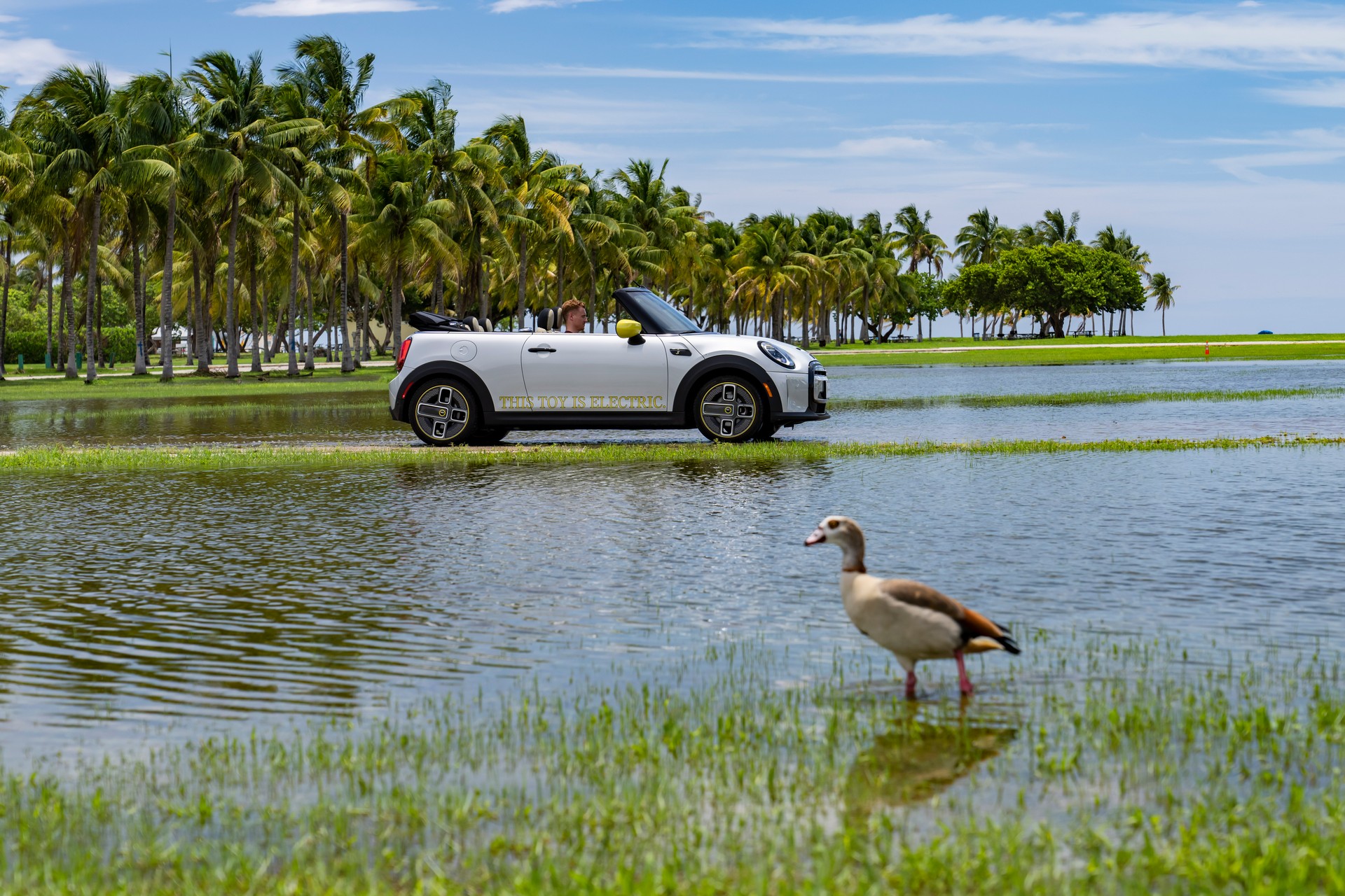 Download 2022 Mini Cooper SE Convertible Concept - Side HD Wallpaper 1920x1280 #233