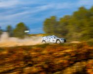 2023 Skoda Fabia RS Rally2 - Off-Road Wallpaper 190x150