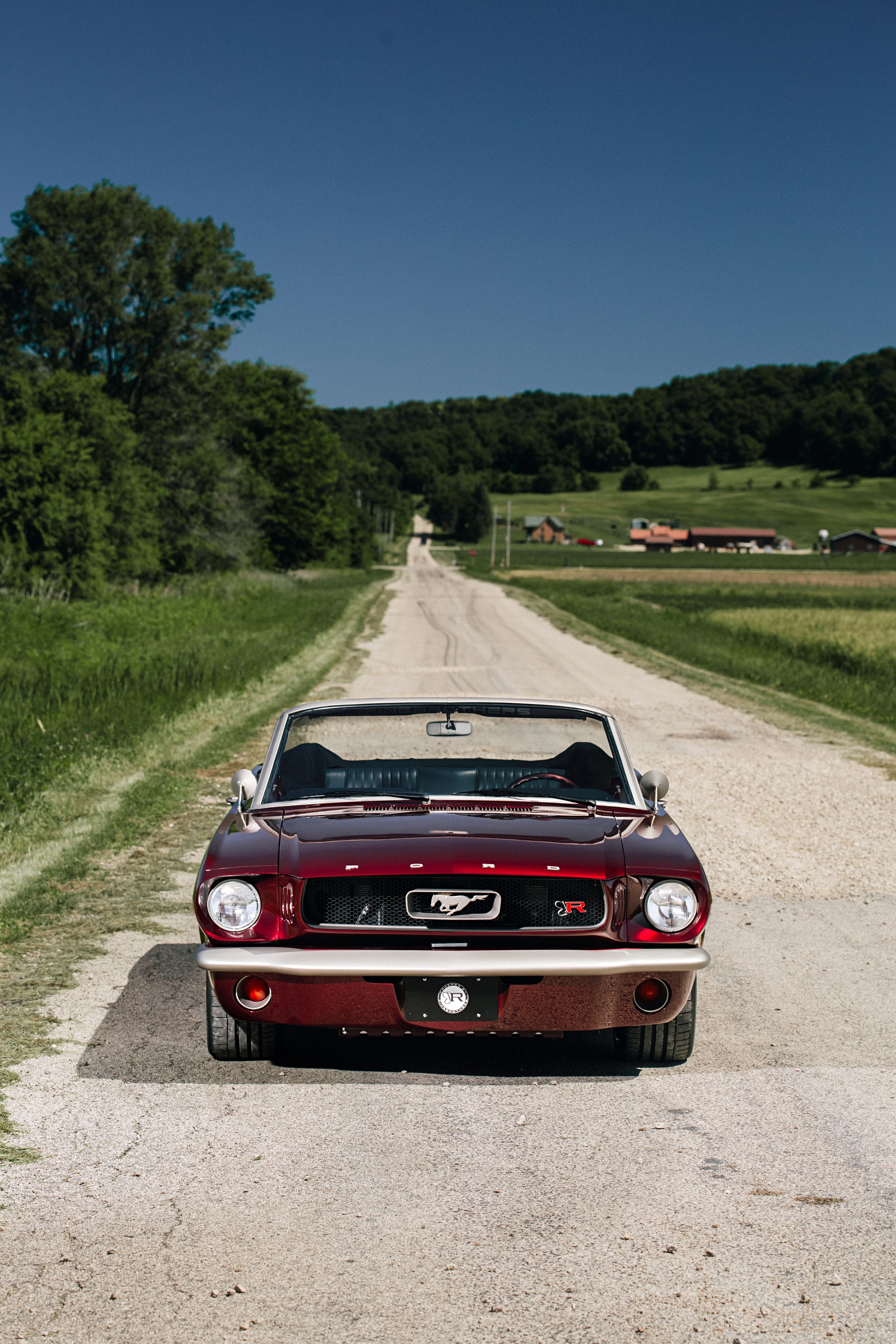 Download 1964 Ford Mustang Convertible CAGED by Ringbrothers - Front HD Phone Wallpaper 1920x2879 #3