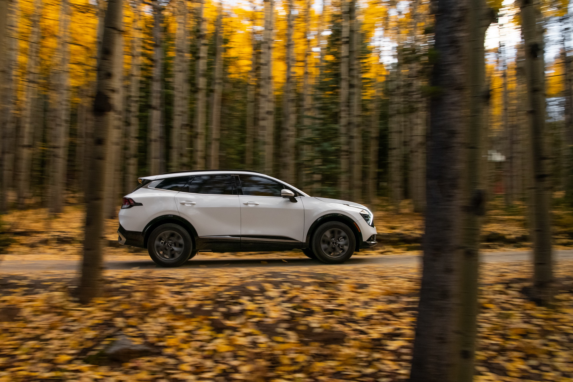 Download 2023 Kia Sportage SX - Side HD Wallpaper 1921x1281 #18